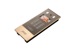 SKY-IP-D17 Gold-1 (Large)