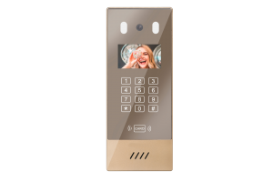 SKY-IP-D17 Gold (Large)