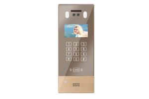 SKY-IP-D21A Gold (Large)